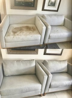 Location : shampouineuse