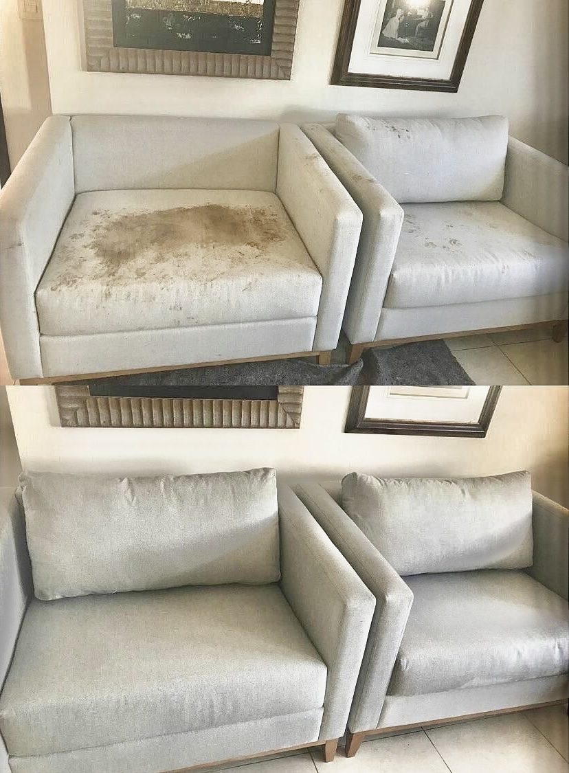 Location shampouineuse 33 entre particuliers