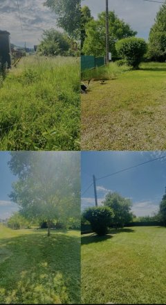 Service : entretien jardin Service : entretien jardin