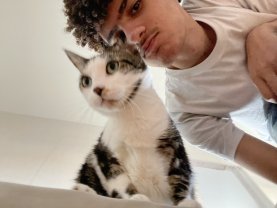 Service : garde animaux