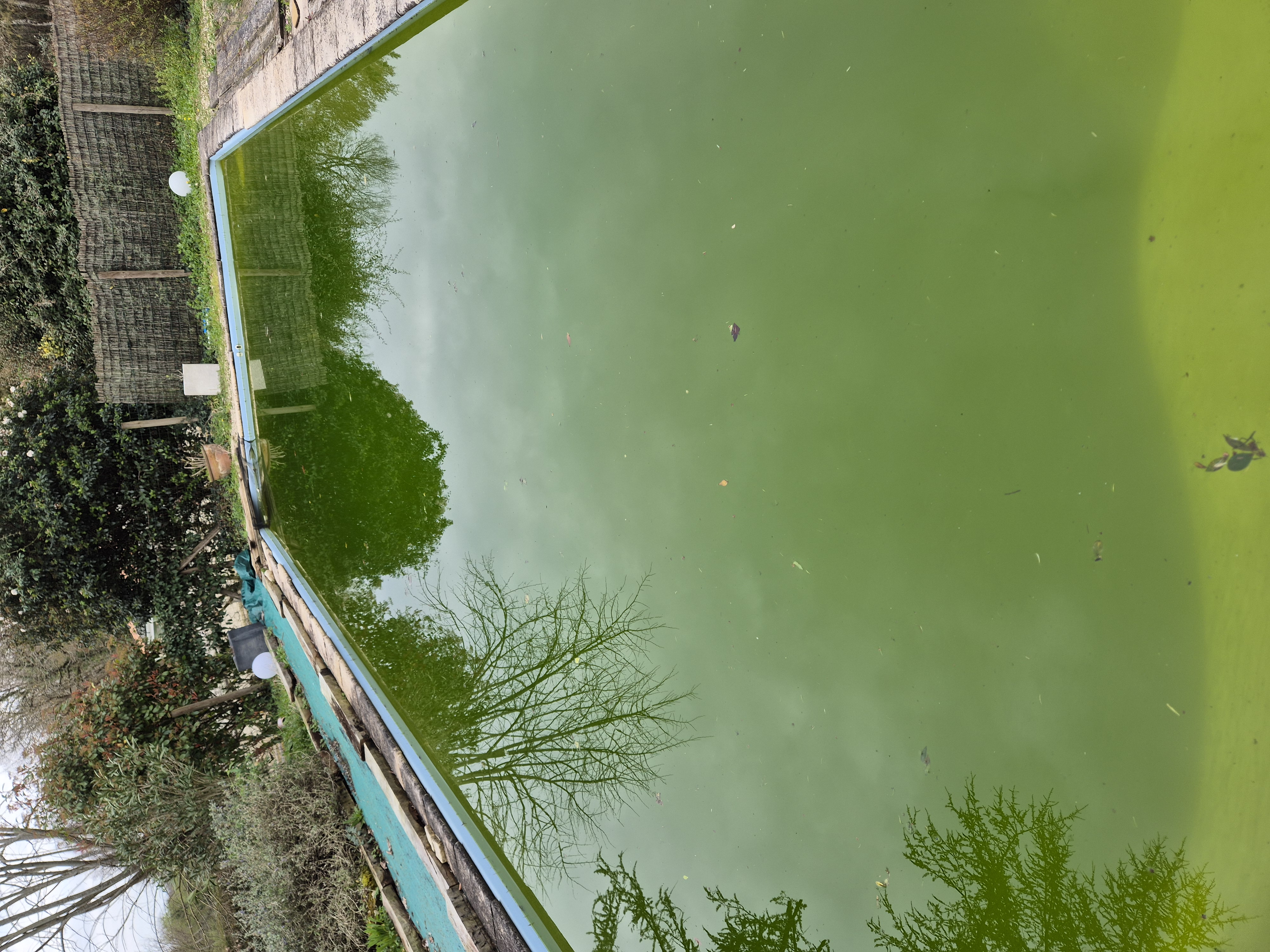 Location robot piscine 17 entre particuliers