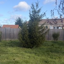 Service : paysagiste Service : paysagiste