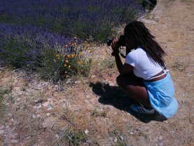 Location : autre Location : autre