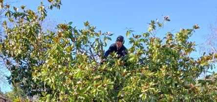 Service : entretien jardin