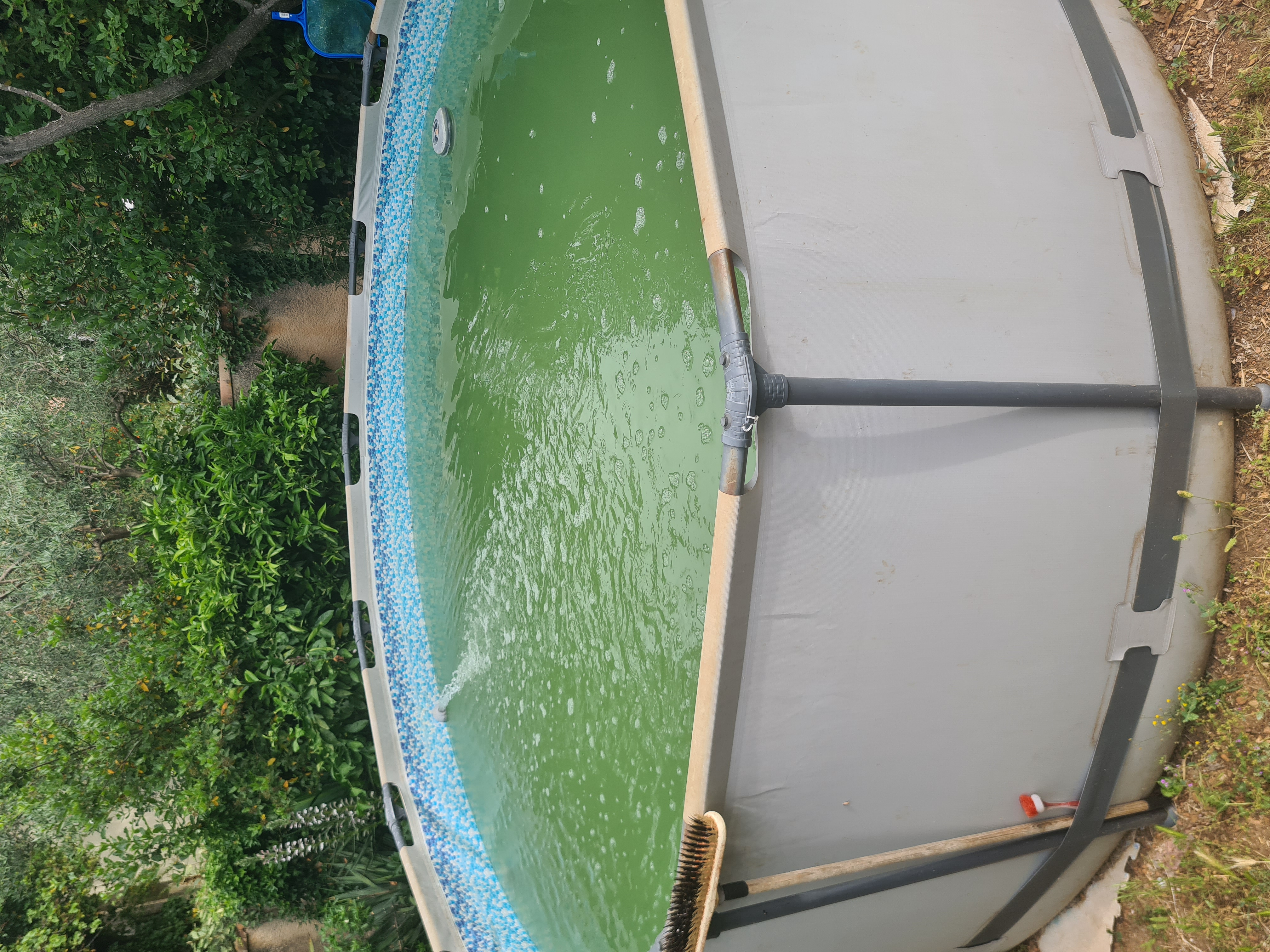 Service nettoyage piscine 34 entre particuliers