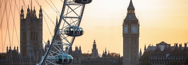 Service : cours de langue Service : cours de langue