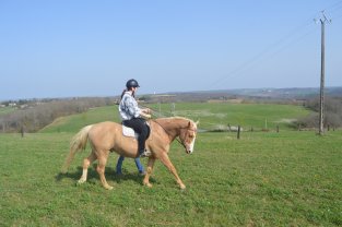 Service : service a personne