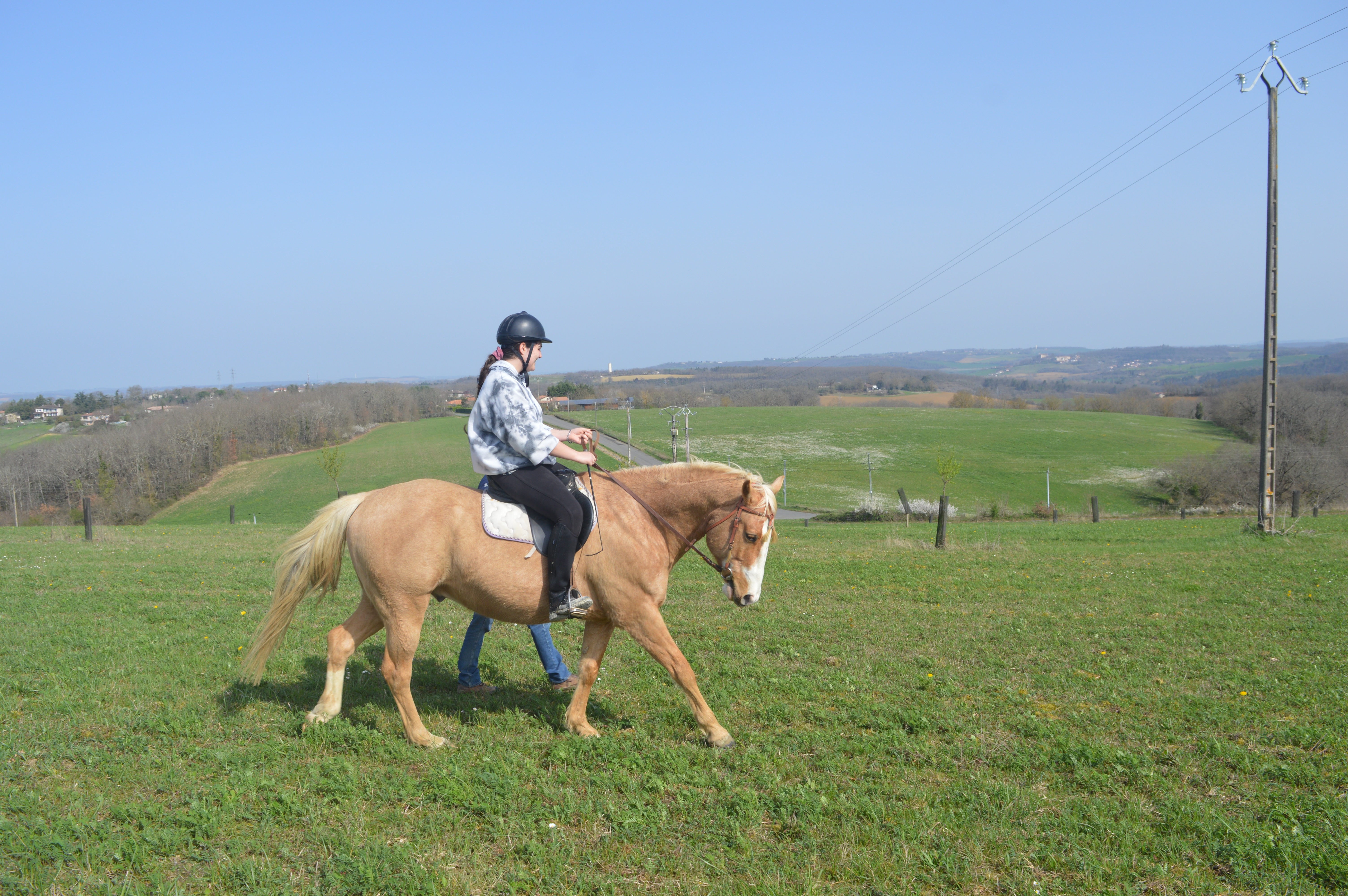 Service service a personne 65 entre particuliers