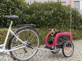 Location : remorque velo Location : remorque velo