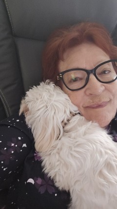 Service : garde animaux Service : garde animaux