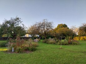 Service : entretien jardin