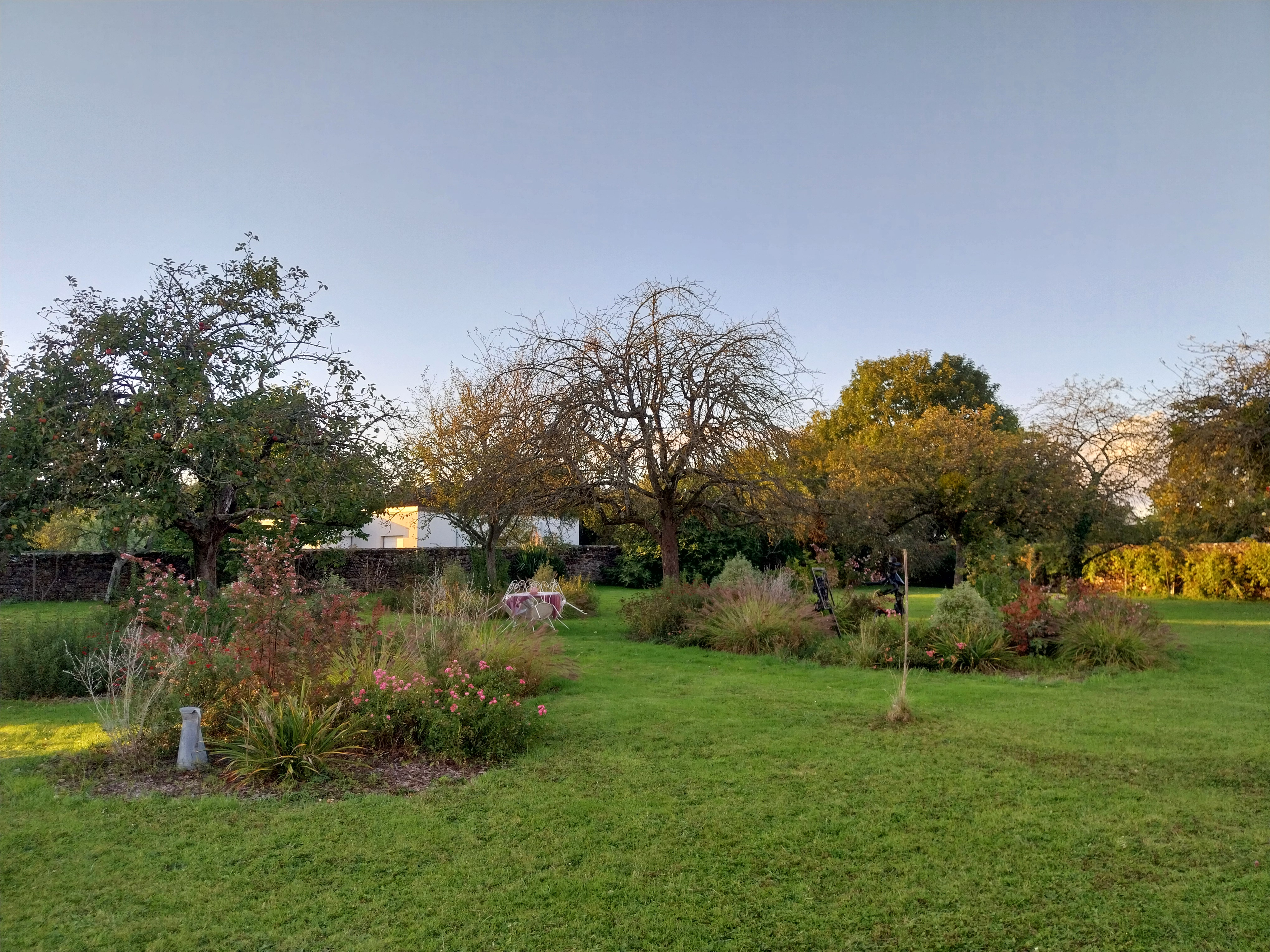 Service entretien jardin 72 entre particuliers