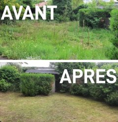 Service : entretien jardin