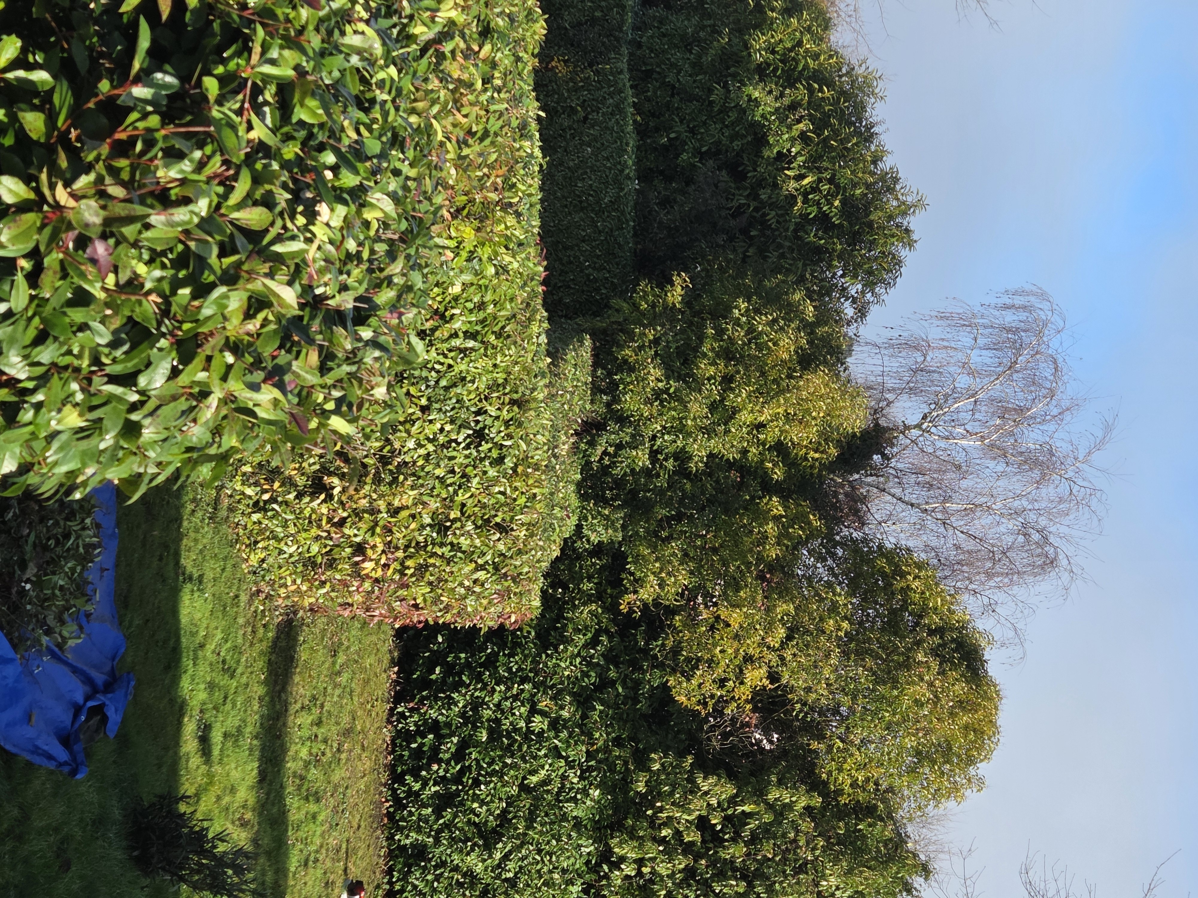 Service entretien espace vert 44 entre particuliers