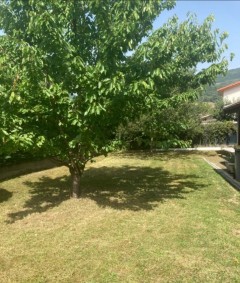 Service : entretien jardin