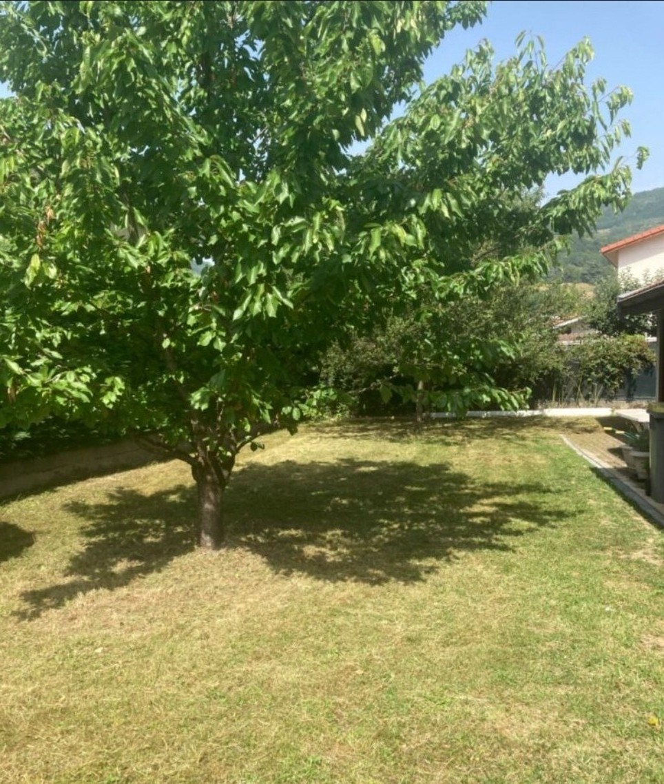 Service entretien jardin 55 entre particuliers