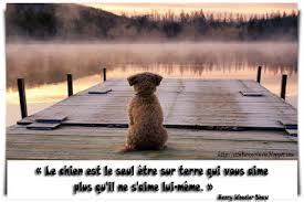 Service chien 91 entre particuliers