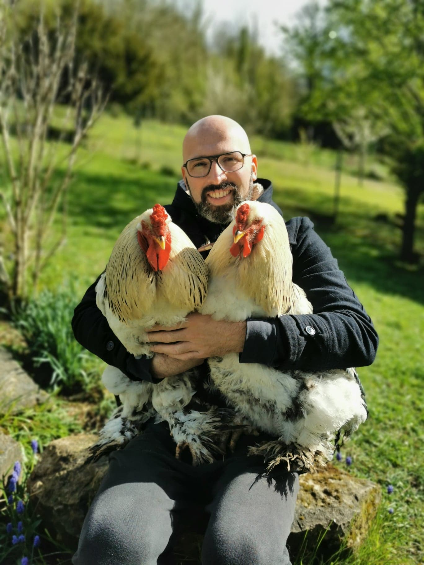 Service garde animaux 02 entre particuliers