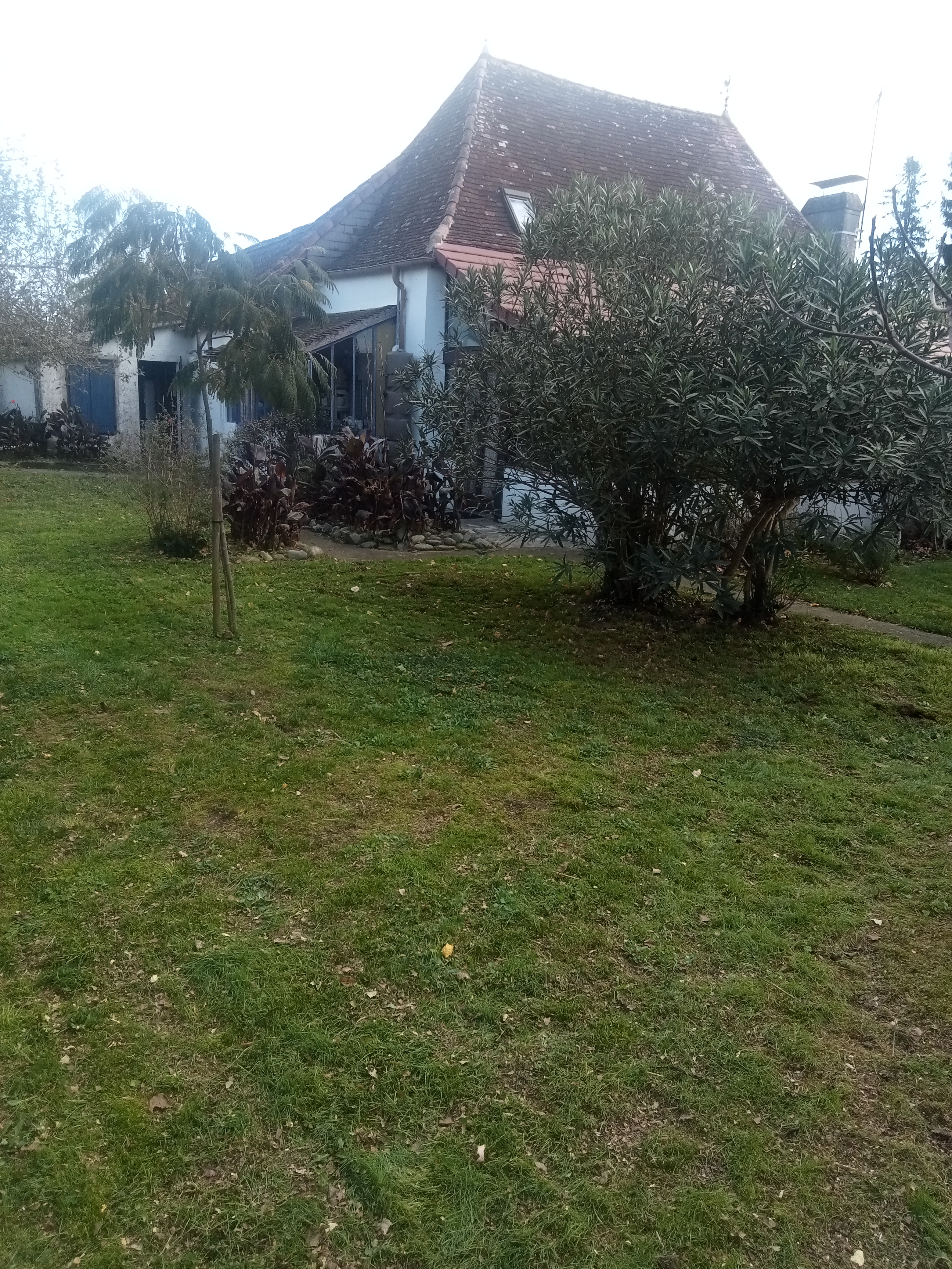 Service entretien jardin 64 entre particuliers