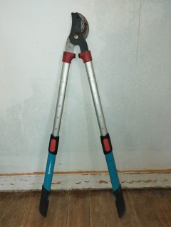 Location : coupe branches