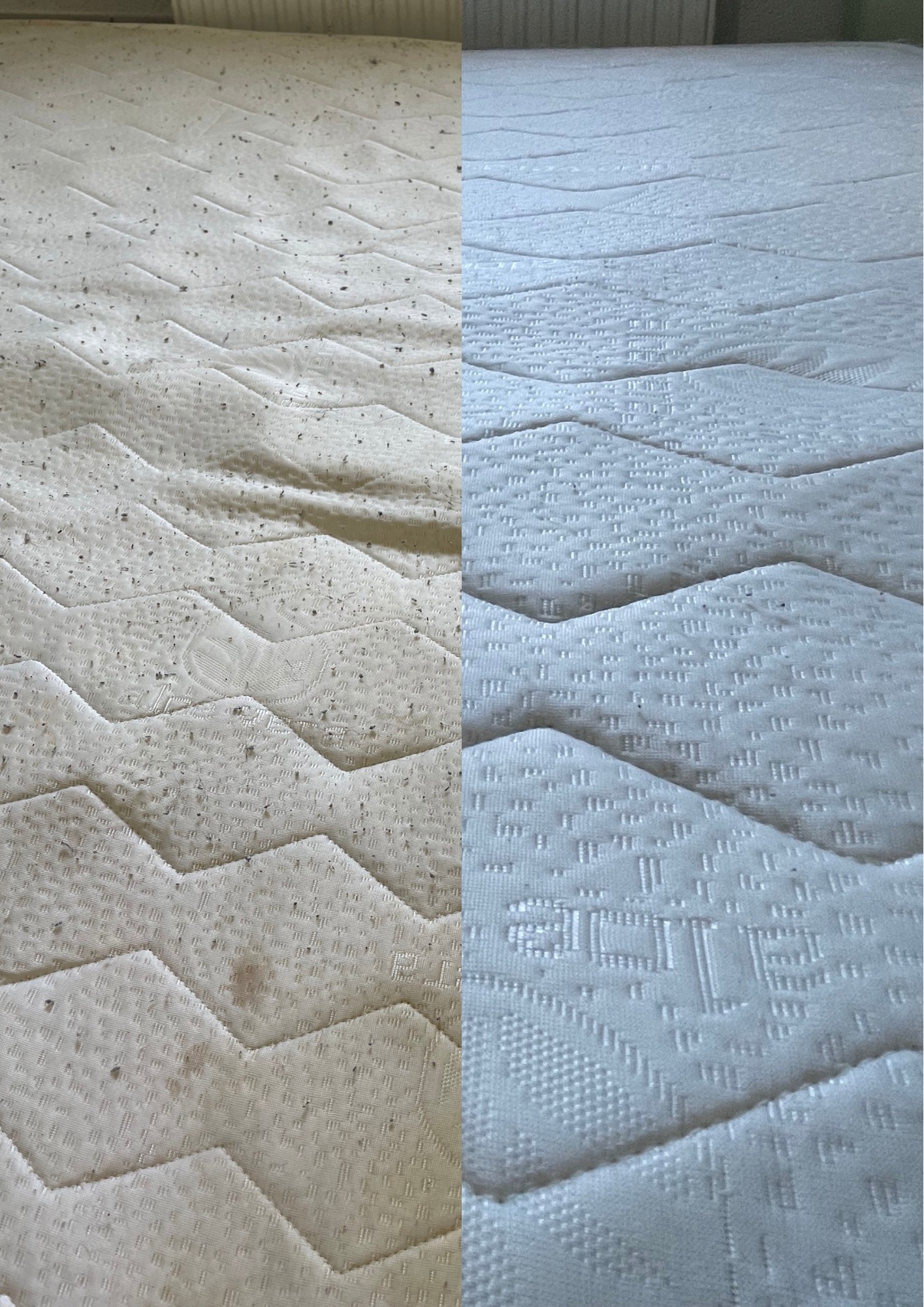 Location materiel professionnel 31 entre particuliers