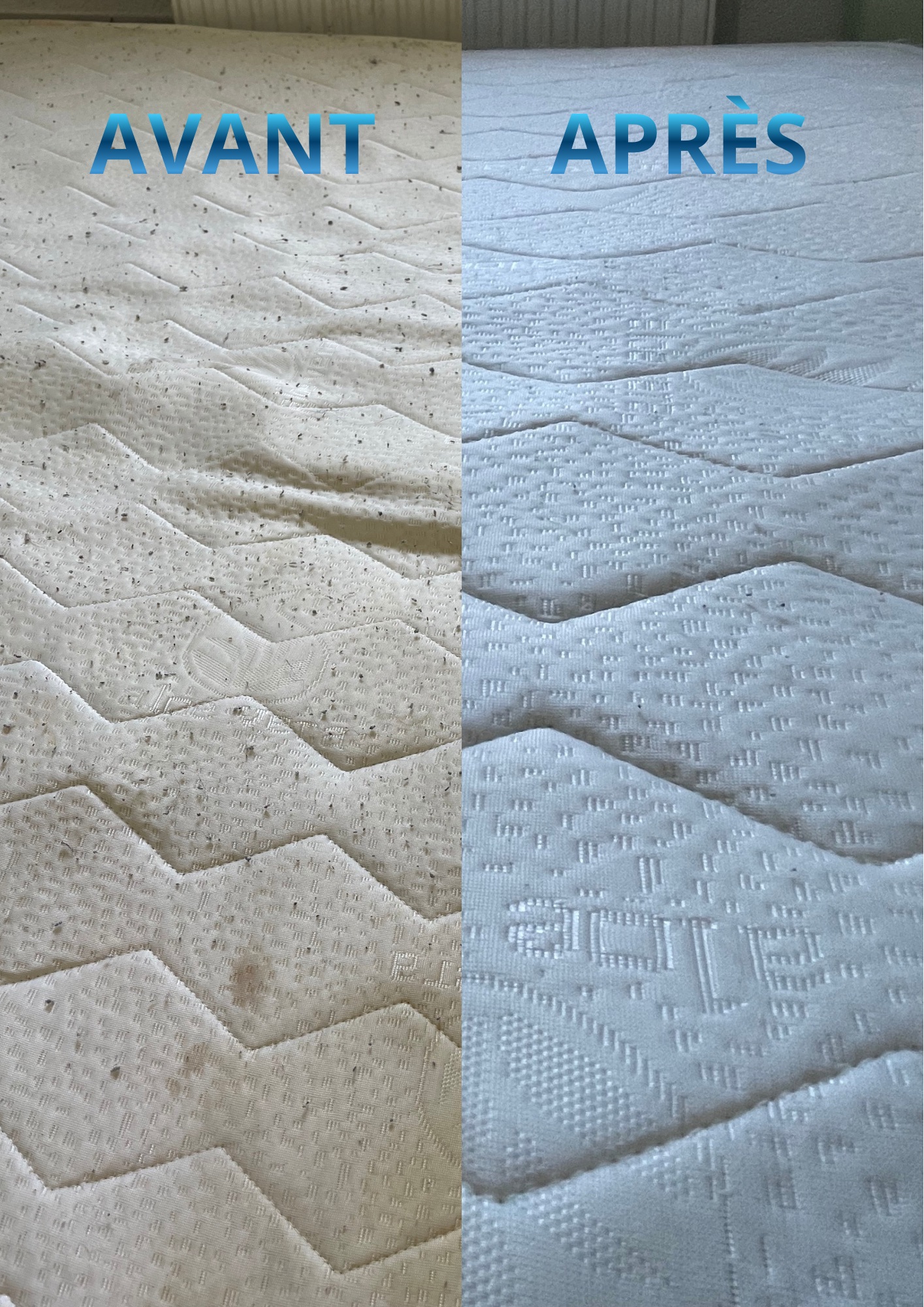 Location injecteur extracteur 31 entre particuliers