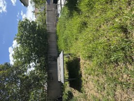 Service : tonte de pelouse