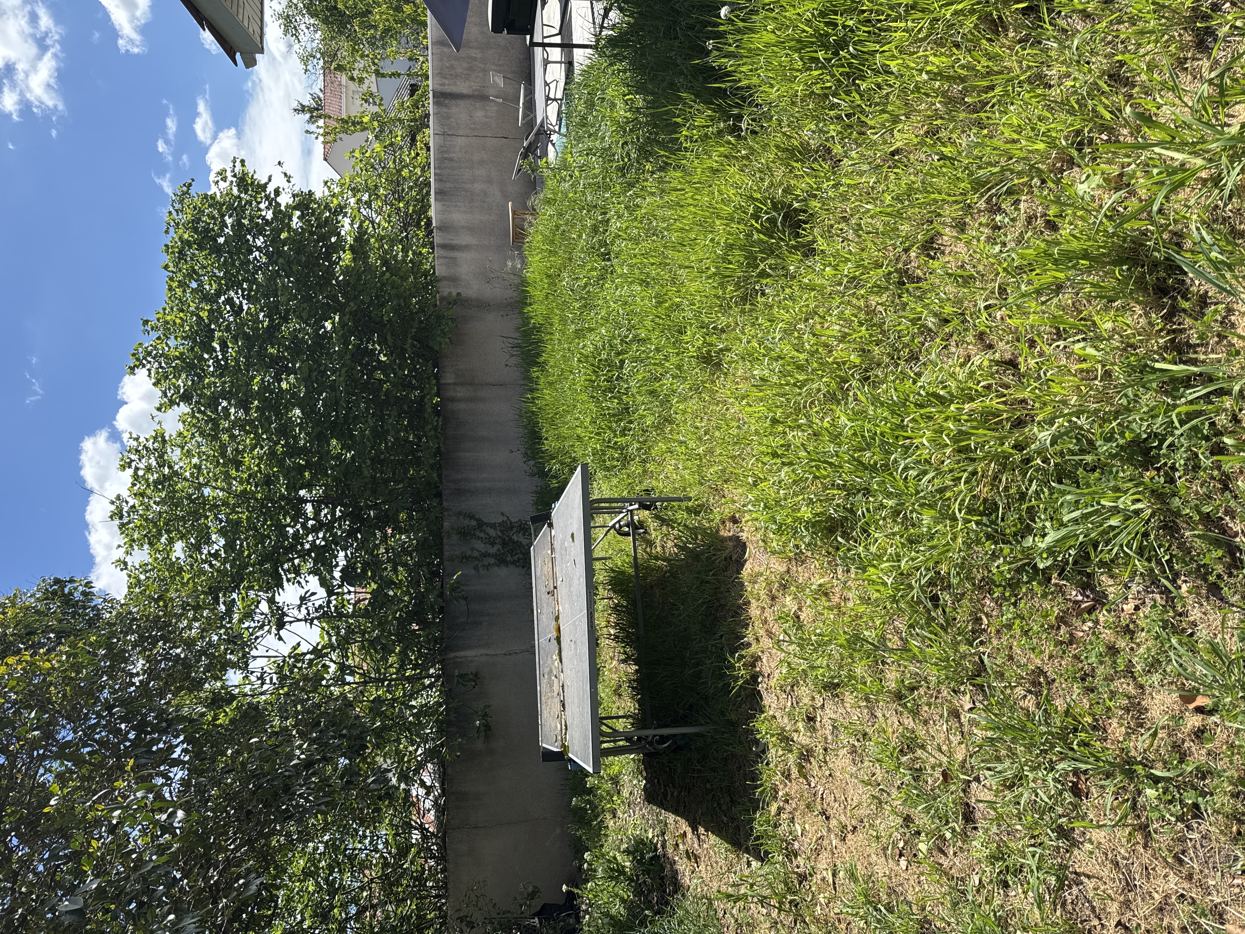 Service tonte de pelouse 33 entre particuliers