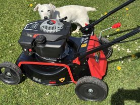 Location : autre Location : autre