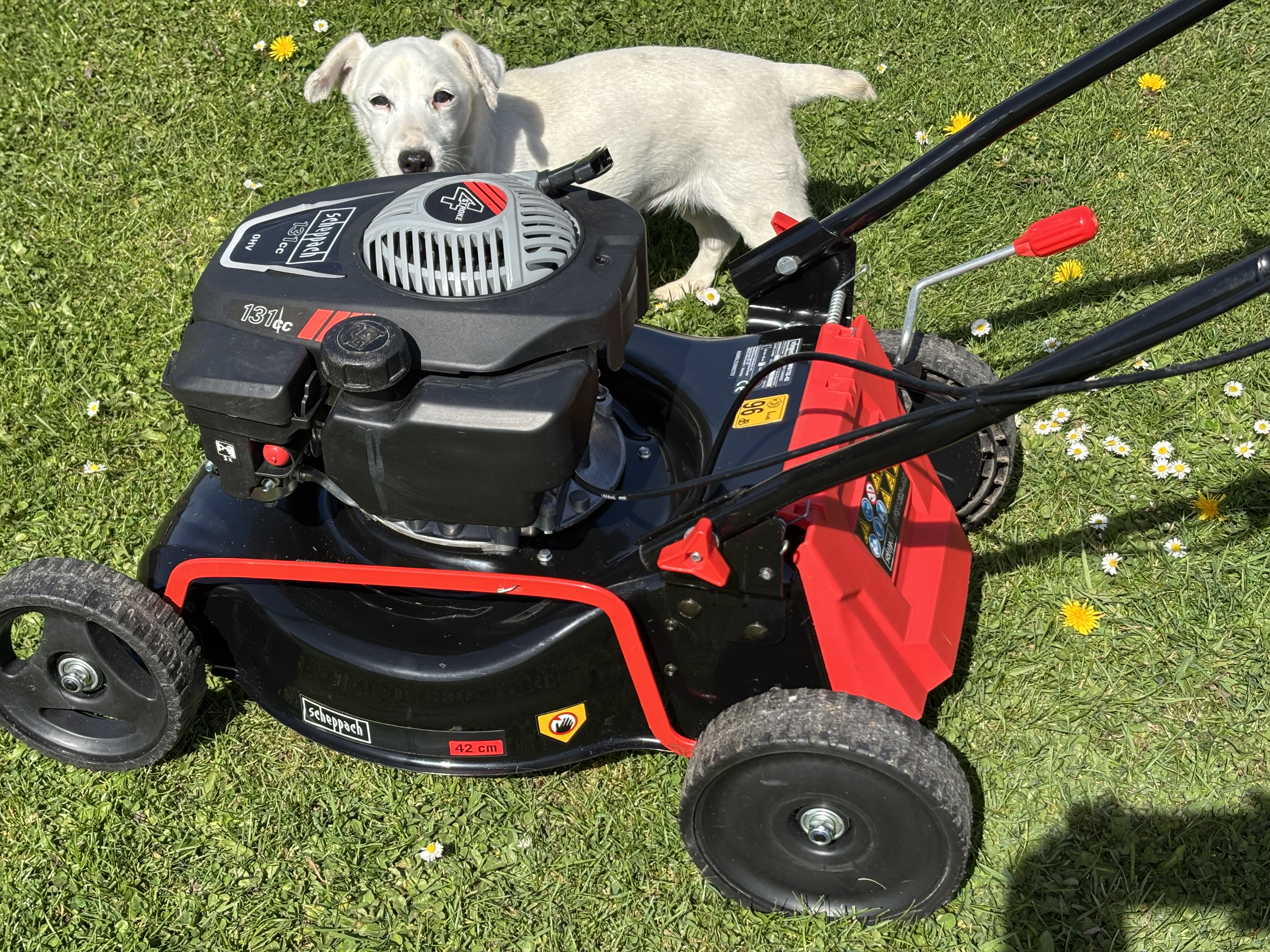 Location autre 59 entre particuliers