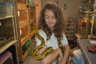 Service : reptile Service : reptile