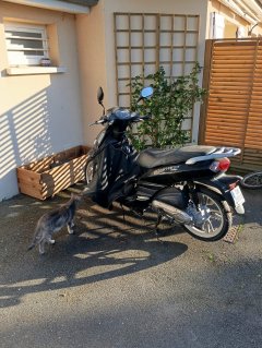 Location : scooter Location : scooter