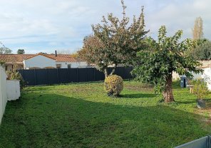 Service : tonte de pelouse