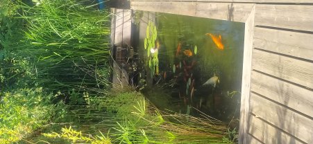 Service : amenagement jardin