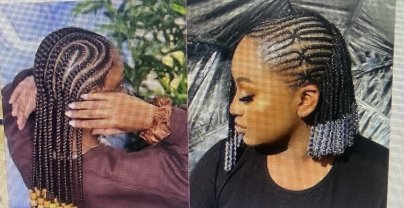 Service : garde animaux