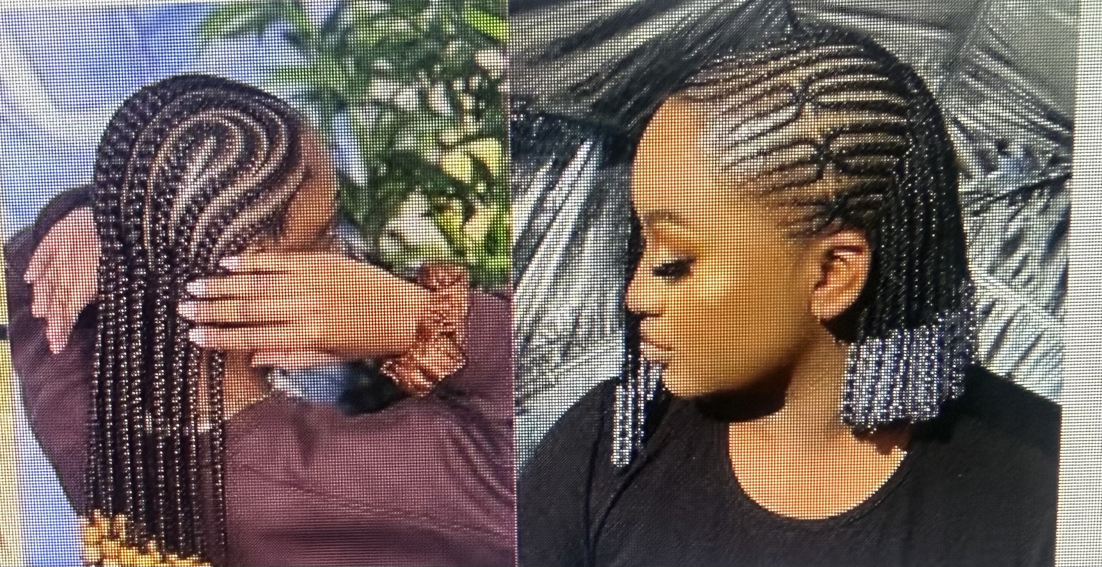 Service garde animaux 94 entre particuliers