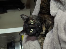 Location : autre Location : autre