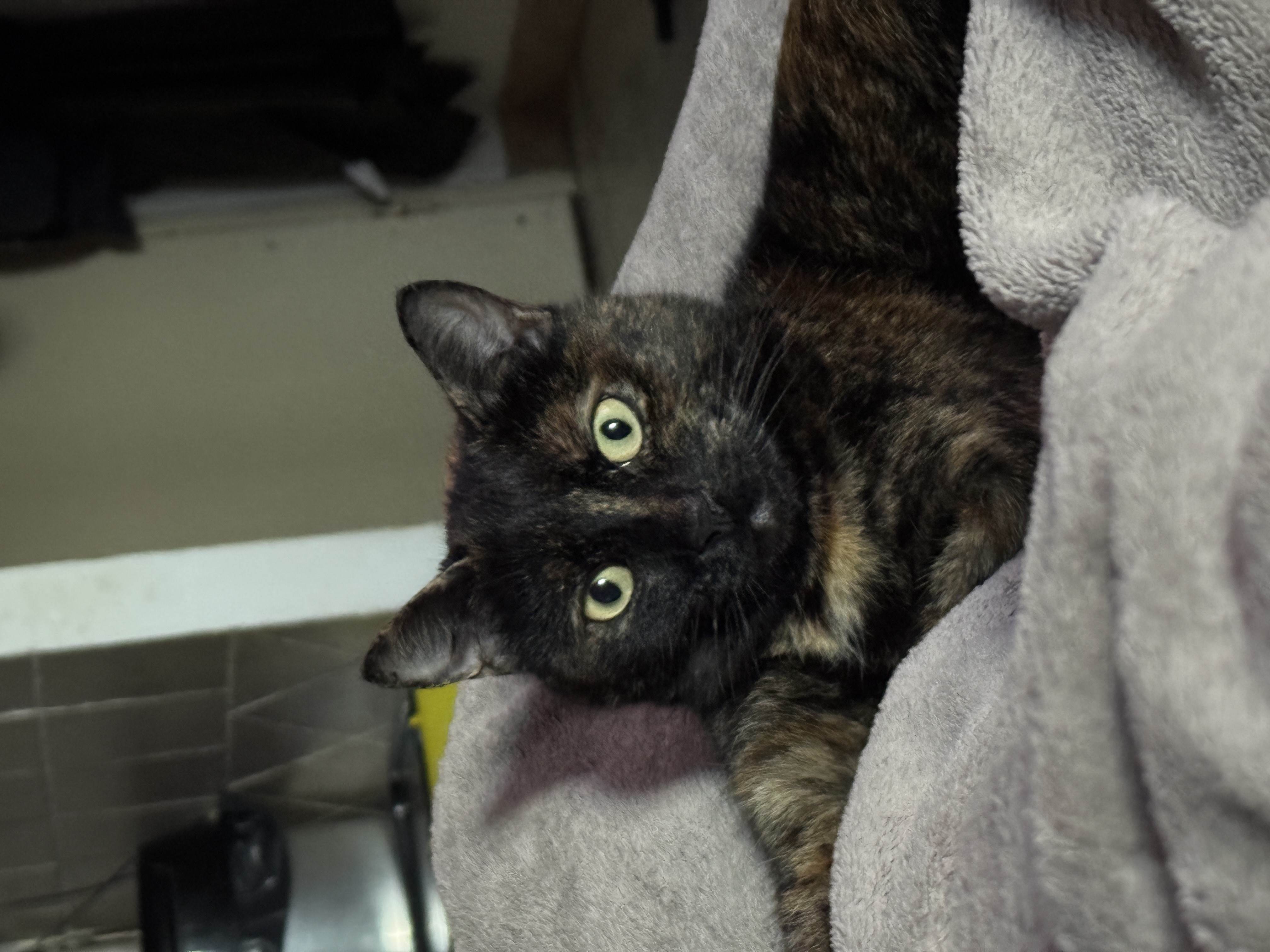 Location autre 06 entre particuliers