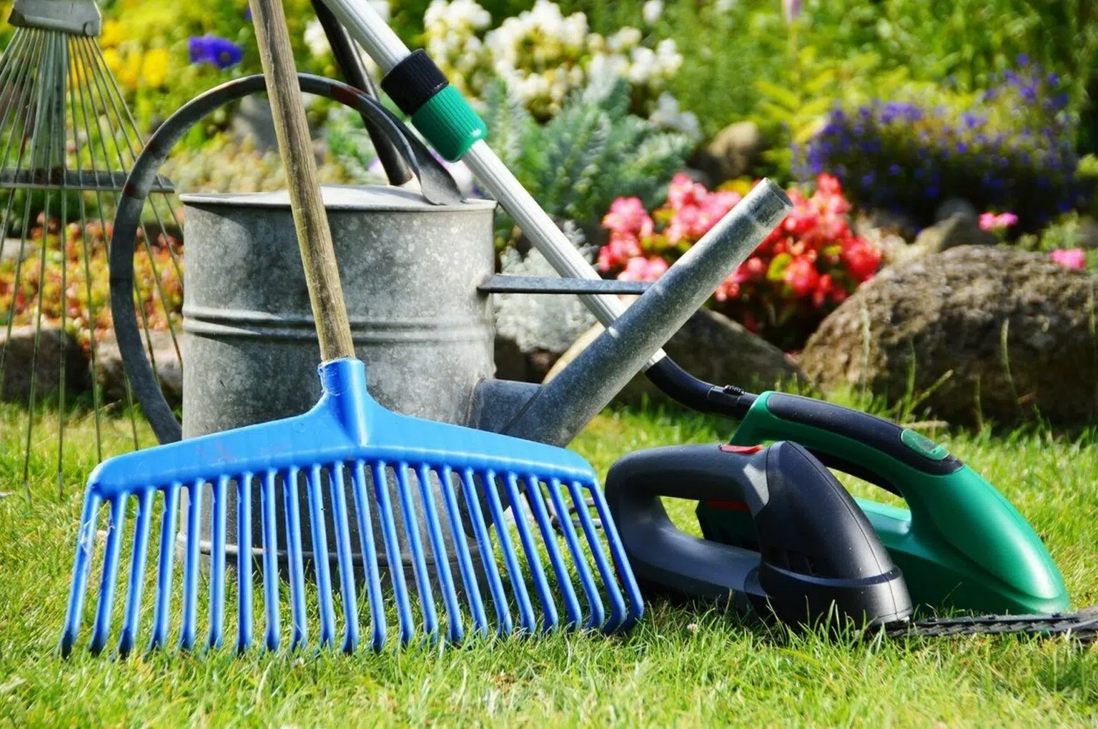 Service entretien jardin entre particuliers (62)