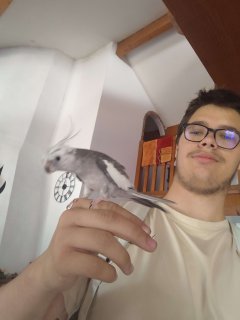 Service : garde animaux Service : garde animaux