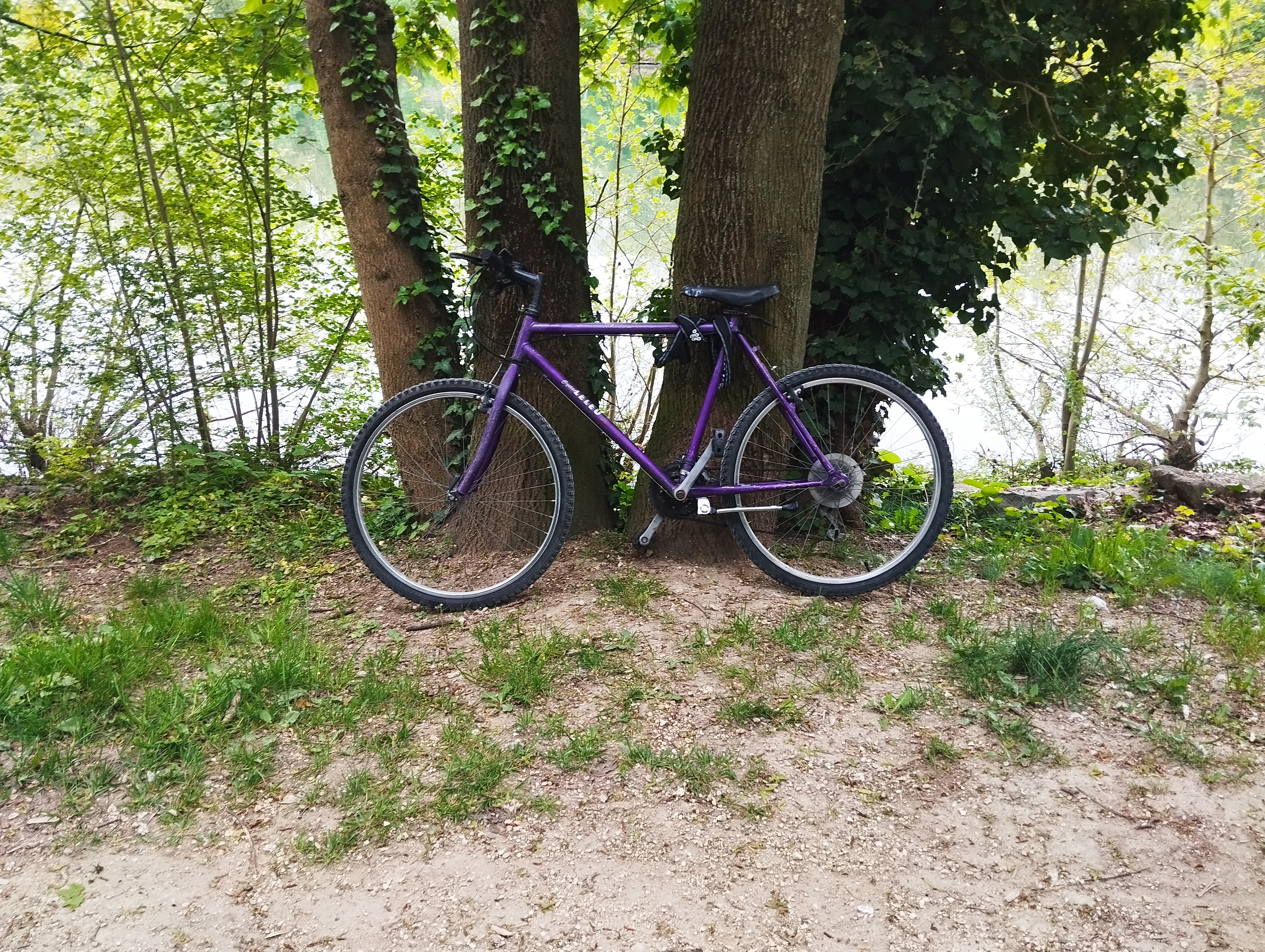 Location velos 75 entre particuliers