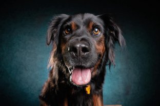 Location : autre Location : autre