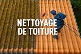 Service nettoyage toiture 93 entre particuliers