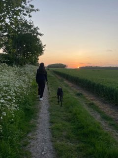 Service : promeneur chien Service : promeneur chien