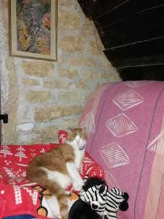 Service : chat Service : chat