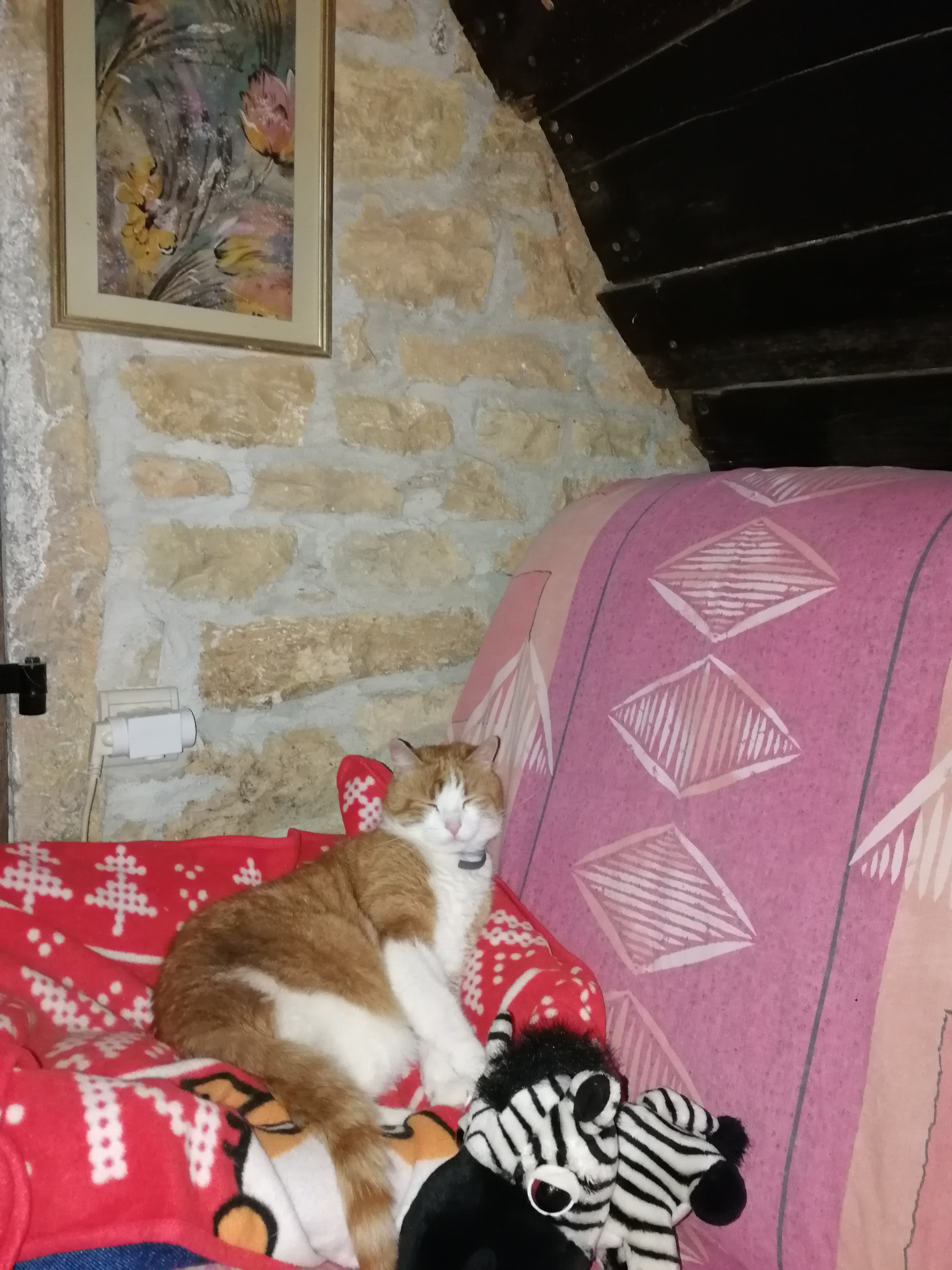 Service chat 78 entre particuliers