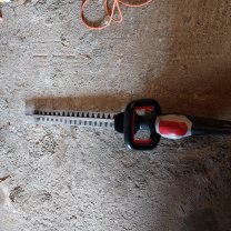 Location : taille haie Location : taille haie