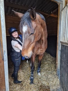 Service : garde animaux