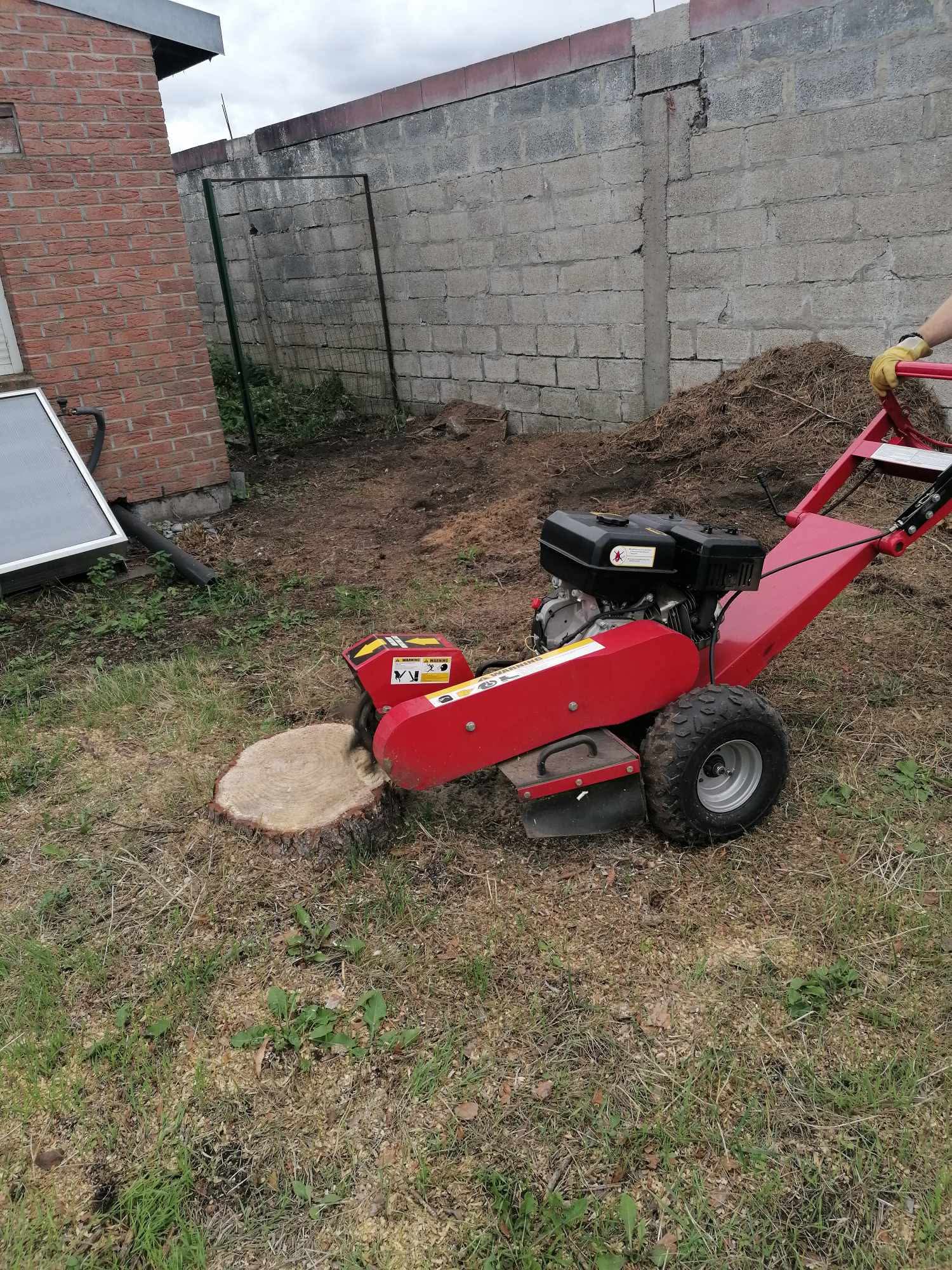 Location rogneuse de souche entre particuliers (62)
