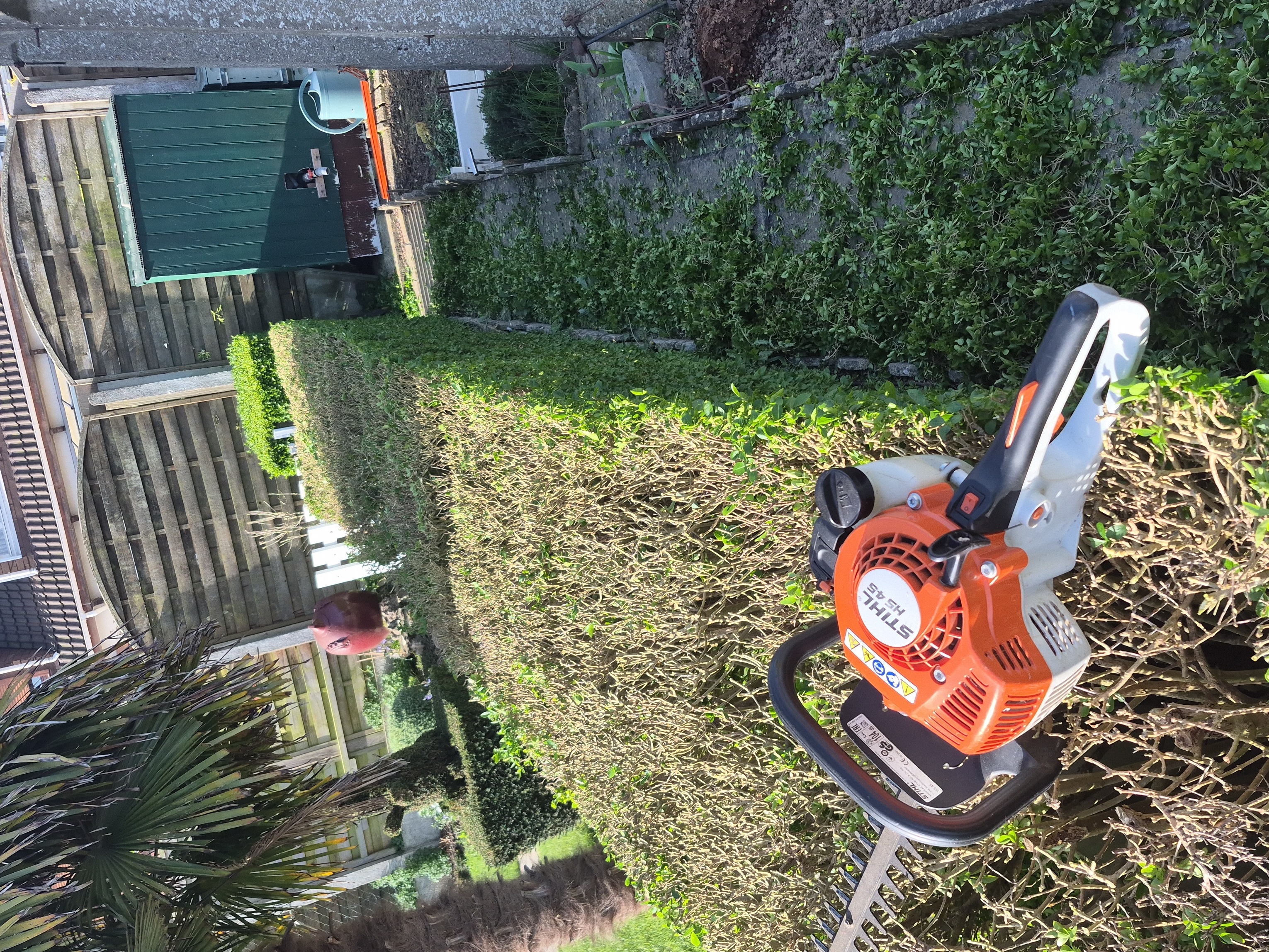 Location taille haie entre particuliers (62)